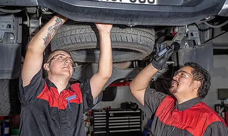 Peter Hayman and Stevie Lee