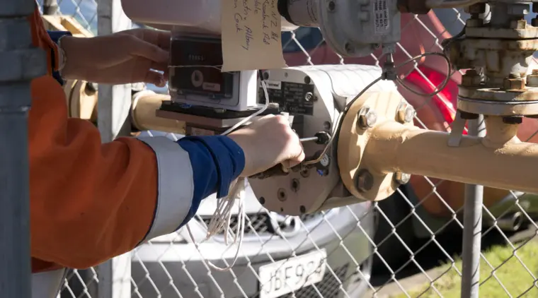 Reticulated Gas Pipelines