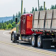 crt-schols__FitMaxWzM0NSwzNDVd